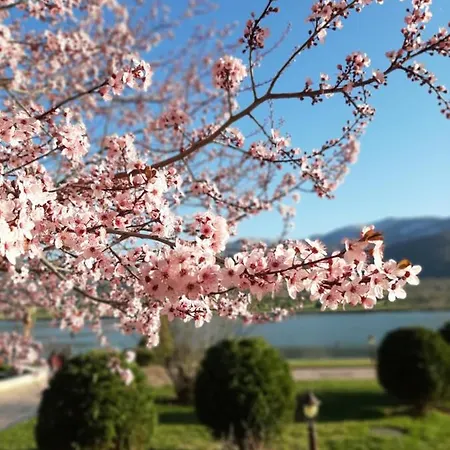 Studio- View Golf アパート *