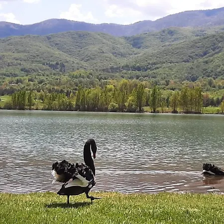 Studio- View Golf דירה