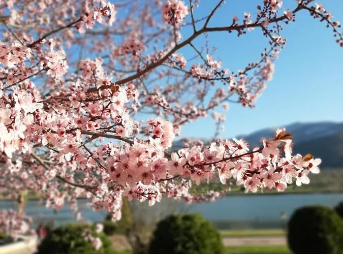 Studio- View Golf Apartamento *