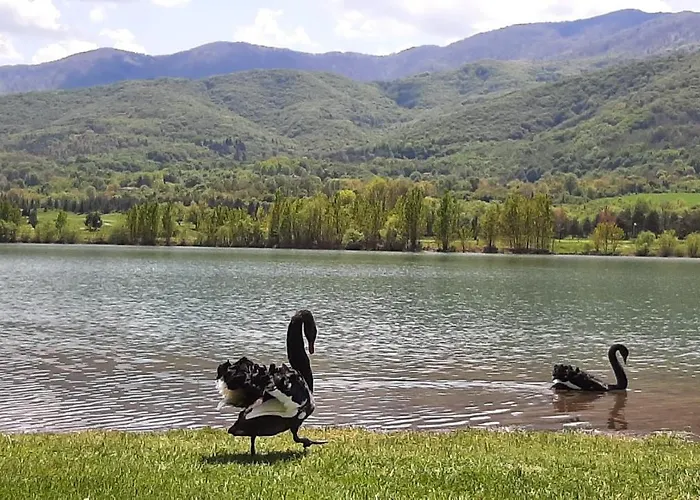 Studio- View Golf Apartamento