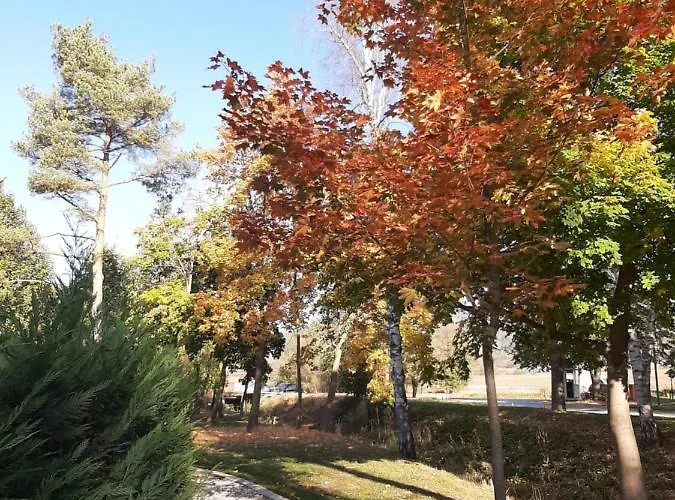 Studio- View Golf Apartamento